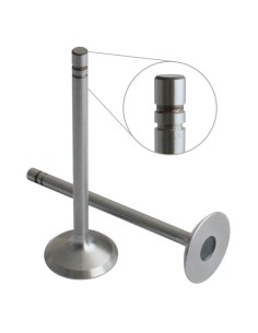 Supapa Admisie R43883