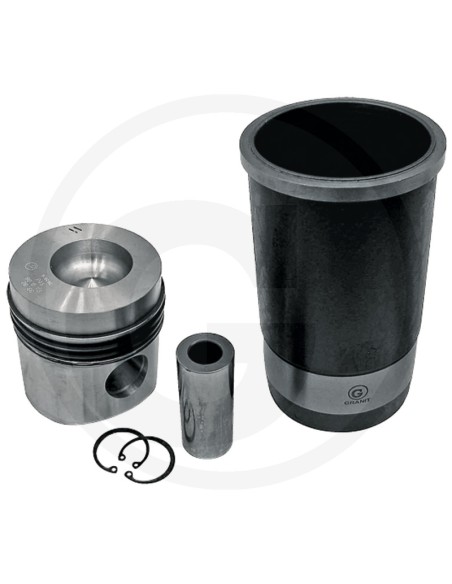 Ansamblu Piston Ø 100 mm STEYR Q38021023