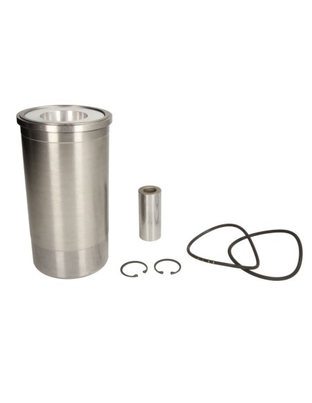 Ansamblu Piston 3218461R95