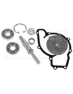 Kit Reparatie Pompa Apa VPE2030