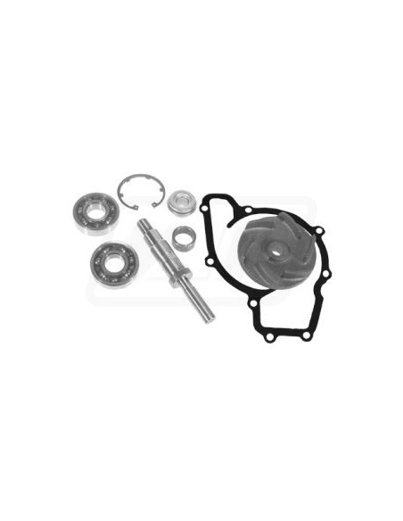 Kit Reparatie Pompa Apa VPE2030