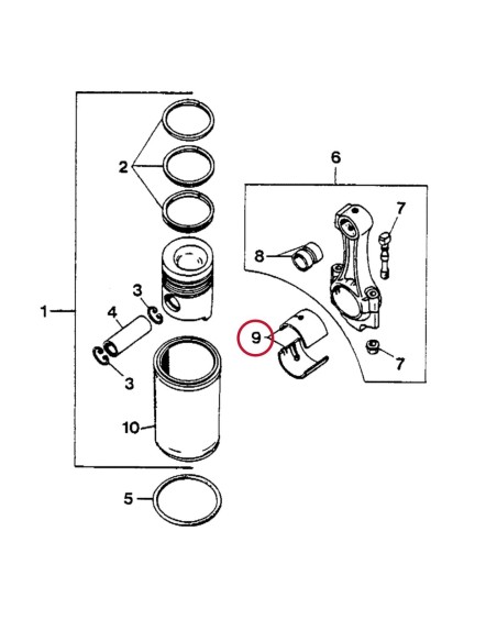 Cuzineti Biela 0.020''- 0.51 mm Case IH 3228667R91