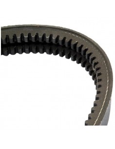 10x1550, 01181260, 02235264, 04154401, 4154401,