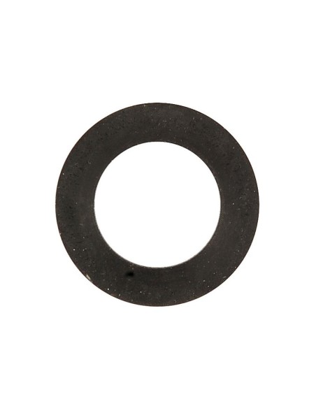 Simering Filtru Combustibil 9918124