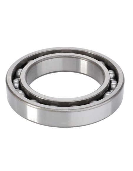 Rulment 65x100x18 mm X605506201000