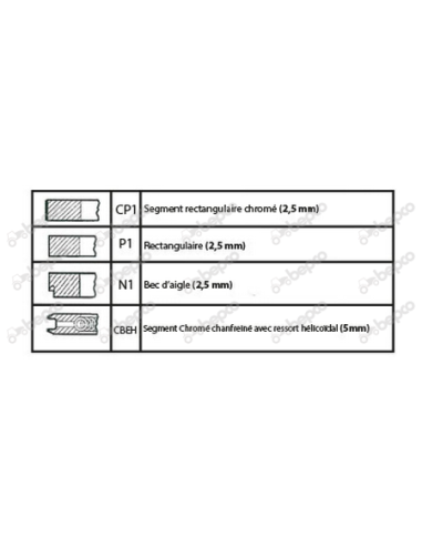 Piston cu Segmenti 105 mm 003800606