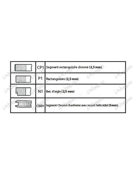 Piston cu Segmenti 105 mm 003800606