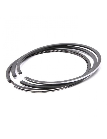 Segmenti Piston 101.80 2.85x2.34x3.97 mm  3802421