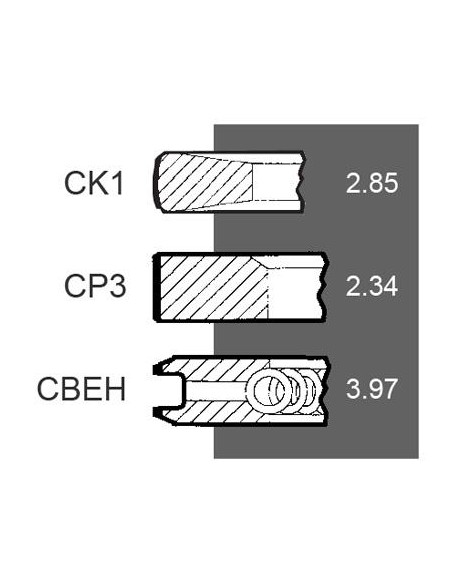 Segmenti Piston 101.80 2.85x2.34x3.97 mm  3802421