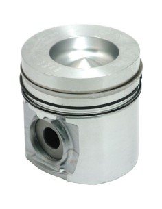 Piston cu Segmenti Ø 101.87 mm - CD 59.20 mm VPB3812