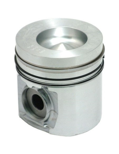 Piston cu Segmenti Ø 101.87 mm - CD 59.20 mm VPB3812
