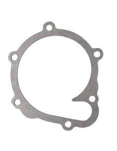 Gasket, Water Pump Deutz 04202975, 04197328
