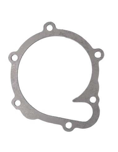 Gasket, Water Pump Deutz 04202975, 04197328