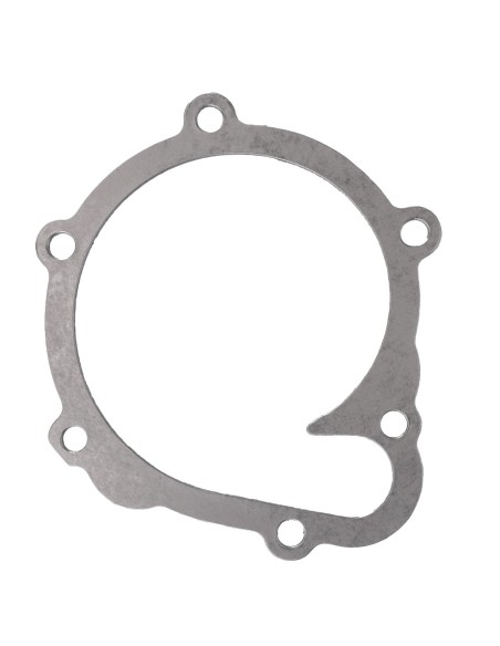 Gasket, Water Pump Deutz 04202975, 04197328