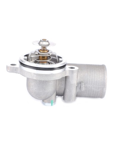 Ansamblu Termostat 4133L508