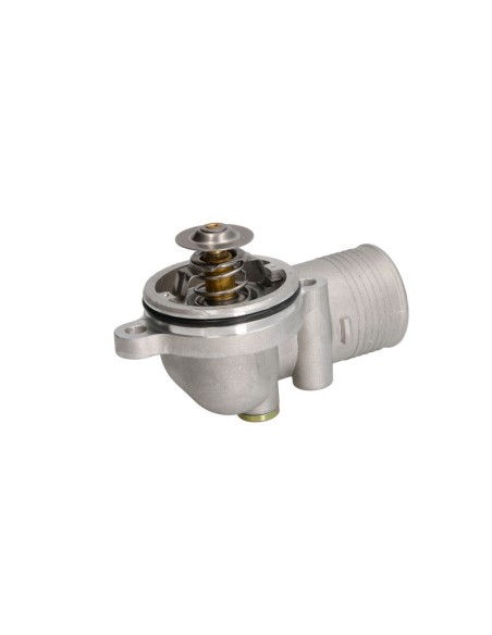 Ansamblu Termostat 4133L508