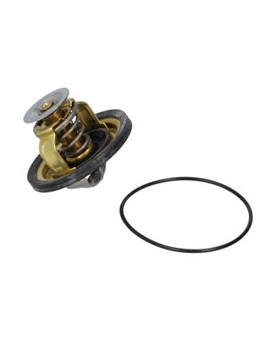 98463637, 4770246, 4823211, 4837166, 8096735