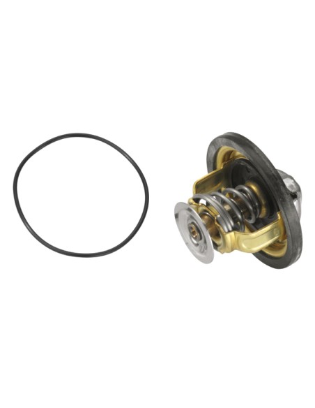 98463637, 4770246, 4823211, 4837166, 8096735