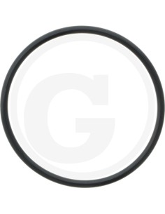 O-Ring 71702037