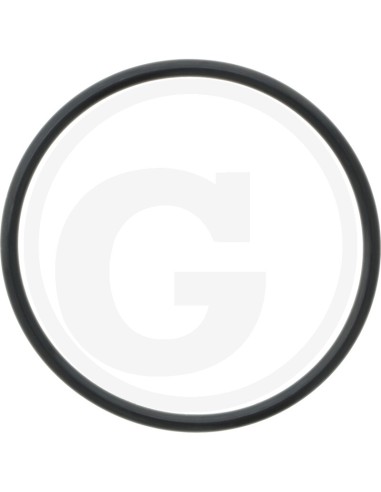 O-Ring 71702037
