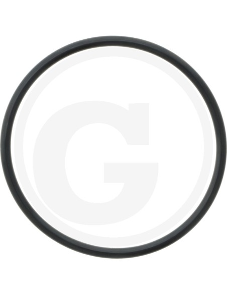 O-Ring 71702037