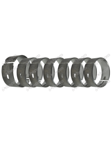 Cuzineti Palier 0.010''- 0.25 mm SET 6+1 26/2-51A