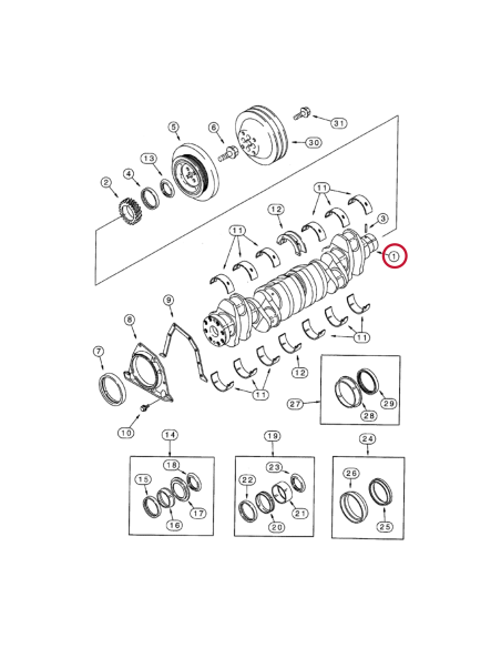 Crankshaft Cummins 6CT 8.3L  J918986, 3917320, 3914584