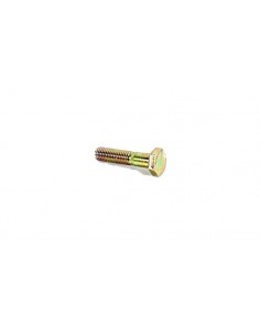 Cap Screw M10X45