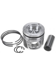 Piston With Rings Ø 104 mm STD 8094846, 504128309