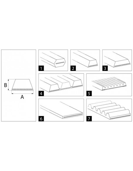 Z46365, 0210114, AP1001404,