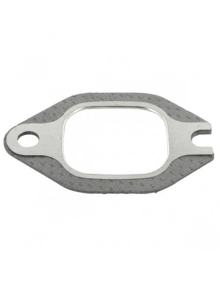 Exhaust Manifold Gasket