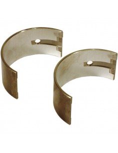 Cuzineti Biela STD Case International 3132101R91