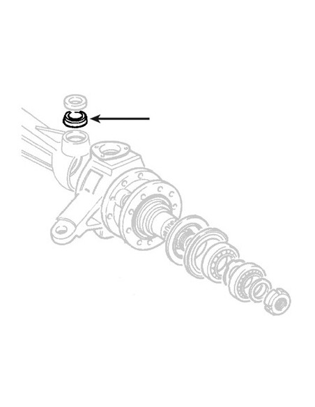 Trunion Bearing Ø 30x64x21 mm 05119699, 4960389,4967754, 5103177, 84229623, 84229624, 84266696