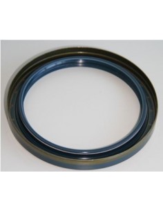 Seal 100x125x13 mm 2