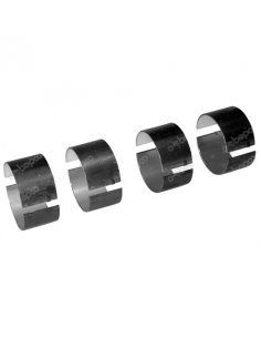Cuzineti Biela 0.010"-0.25 mm SET Case IH 3144876R91, 3144876R92, 87555962