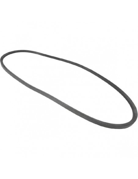 V-Belt AVx13x1175 mm 3637595M1, 01181185, 0070078, 13A1175C, 1003713, 6477MC