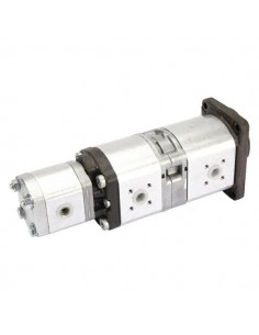 Hydraulic Pump 19+11+2 Cm³ 0510666303, 1517222721, 1517222846, 1517222847, G385941010010, G385.941.010.010, 51 2
