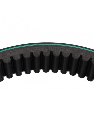 Curea 38x2450 mm 0211205, Z61154, Z54808, 1409652R1, 0211203, AP1001448