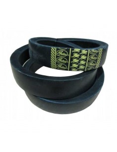 Belt 38x2450 mm 0211203, Z61154, Z54808, 1409652R1, 0211205, AP1001448