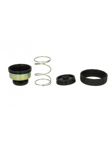 Repair Kit, Fuel Filter Head Hand Primer DEUTZ-FAHR 0.900.1450.6, 090014506, JCB 32/926045, 32926045, John Deere RE50467