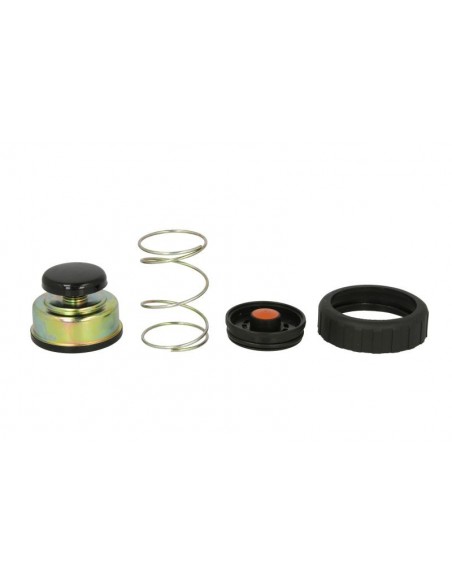 Repair Kit, Fuel Filter Head Hand Primer DEUTZ-FAHR 0.900.1450.6, 090014506, JCB 32/926045, 32926045, John Deere RE50467