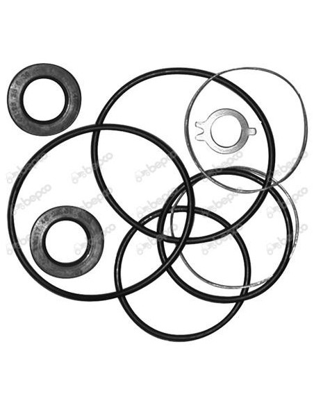 Kit Reparatie Pompa Hidraulica