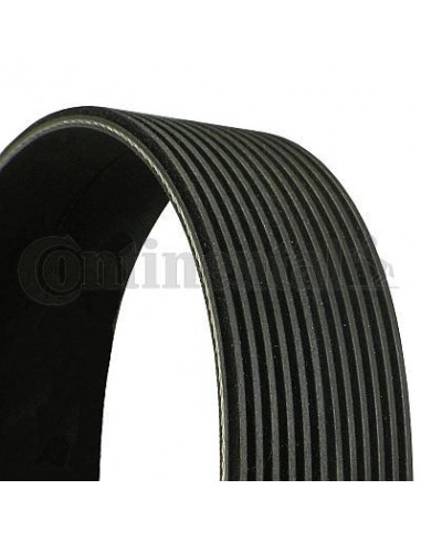 V-Belt 12PK1515 mm Fendt 916201040200, Man 51968200250