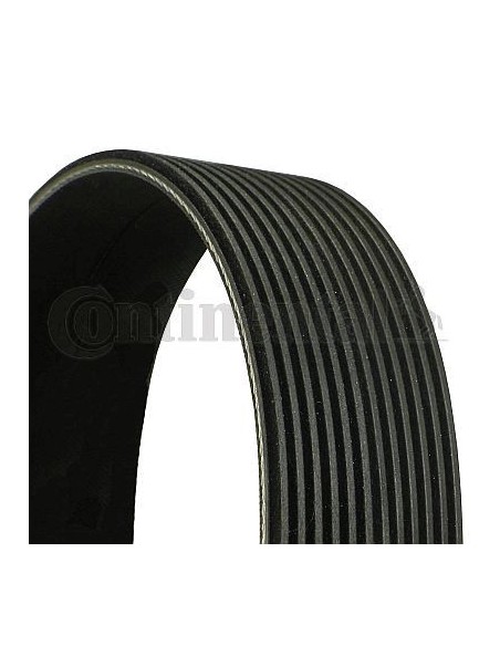 Curea 12PK1515 mm Fendt 916201040200, Man 51968200250