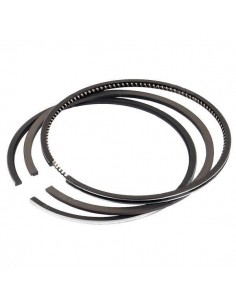 Ring Set Ø 100 - 2.5x2.5x4 mm - STD Iveco 1902050, 1902051, 1908738, 1930169, 82982153