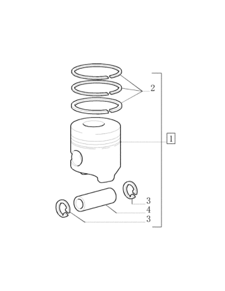 Piston Ø 100 mm - STD 1940174, 99476185