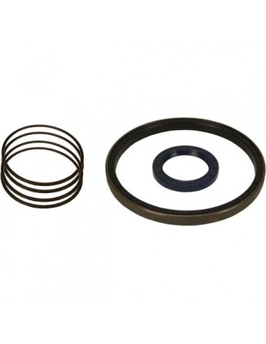Seal Kit, Driveshaft, Suspension Cylinder Merlo 042077, 041695