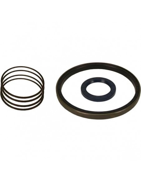 Seal Kit, Driveshaft, Suspension Cylinder Merlo 042077, 041695 Seal Kit, Driveshaft, Suspension Cylinder Merlo 042077, 041695