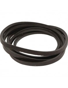 V-Belt 22x2825 mm CQ42150, 80230059, 89838606, C2800 191305C1 217700C1 632102R1 1408855R1 632702R1 191305C1A 742025.0 0114 1882