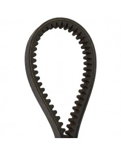 R568198, R222393, 84196804, 0210103, 0100187, AP1005348